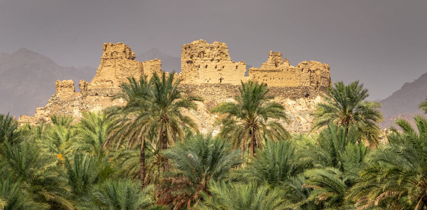 Sharing Our Loss and Grief